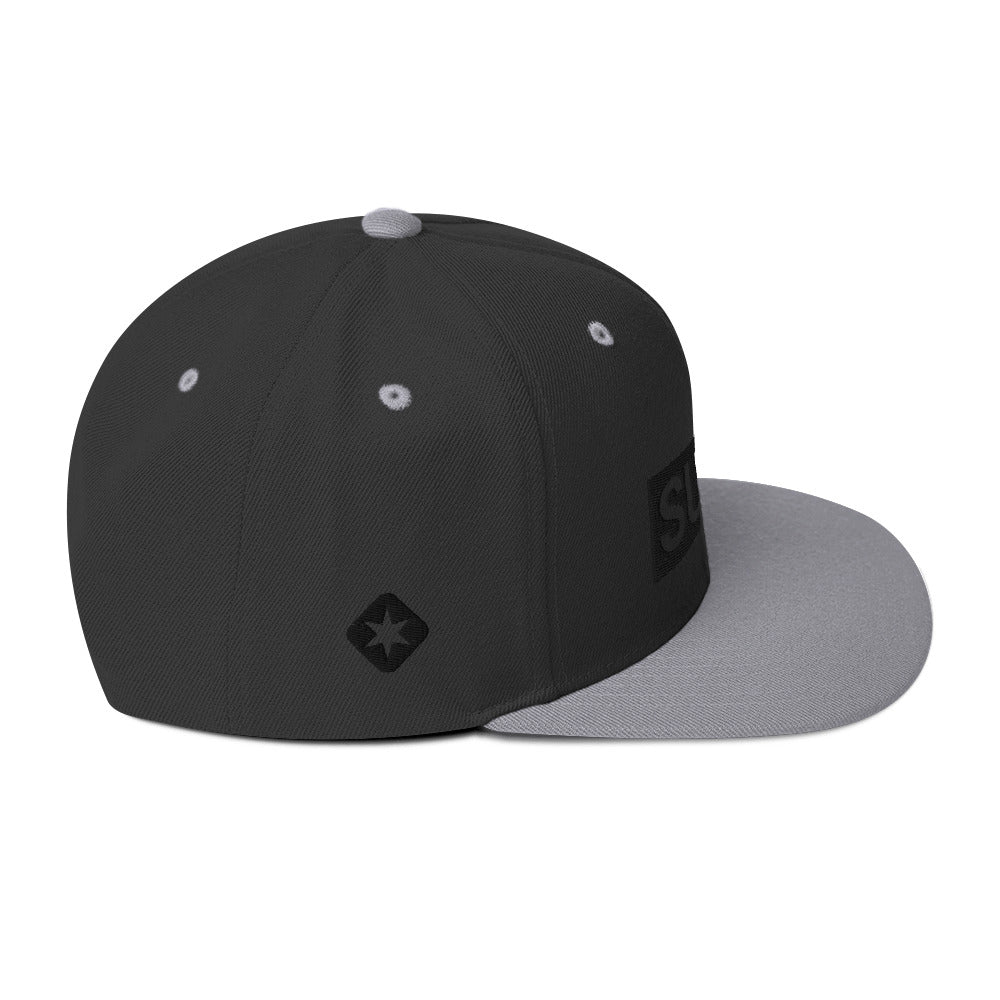 Two Tone Logo Snapback Hat