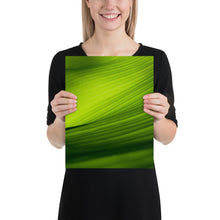 Load image into Gallery viewer, Green Banana Leaf Closeup
