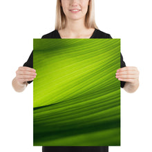 Load image into Gallery viewer, Green Banana Leaf Closeup
