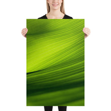 Load image into Gallery viewer, Green Banana Leaf Closeup
