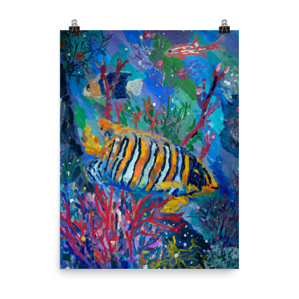 Colorful Fish and Coral