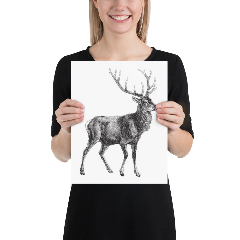 Vintage Red Deer Illustration Poster