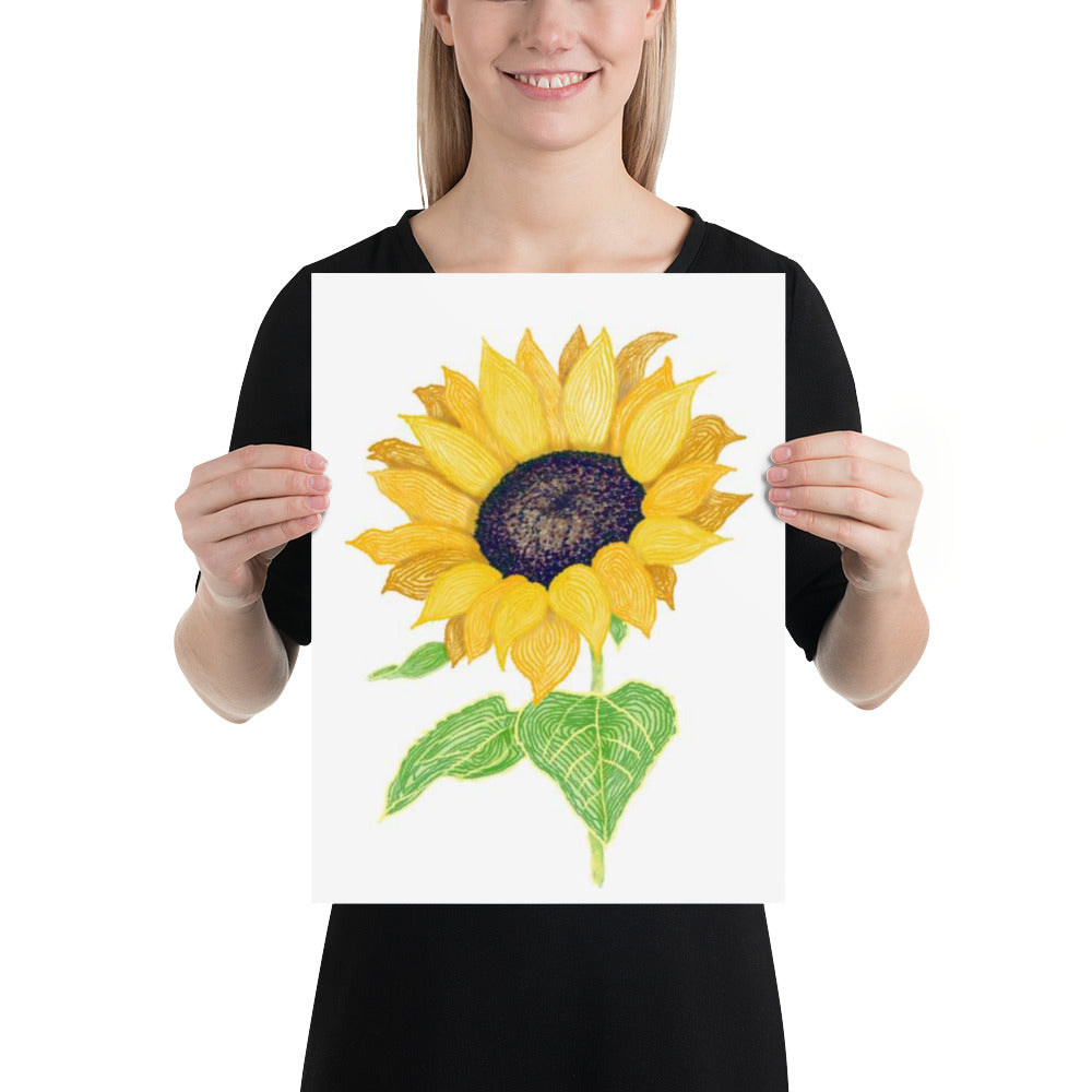 Hand Drawn Sunflower