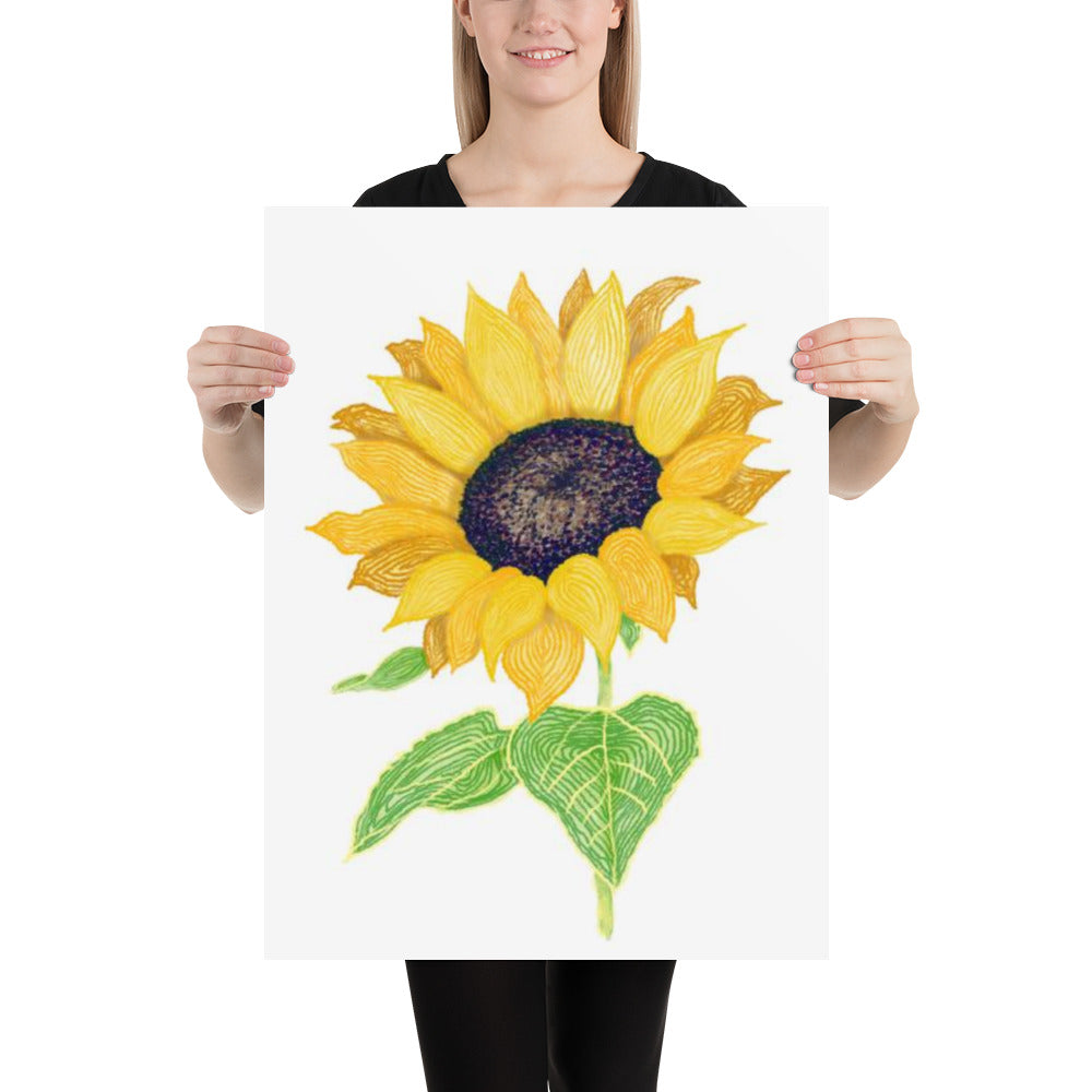 Hand Drawn Sunflower