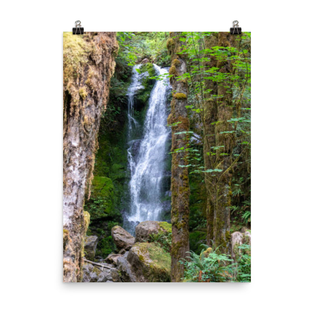 Merriman Falls, Olympic National Park in Quinault, Washington