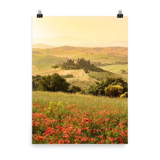 Poppy Flower Field in Tuscany