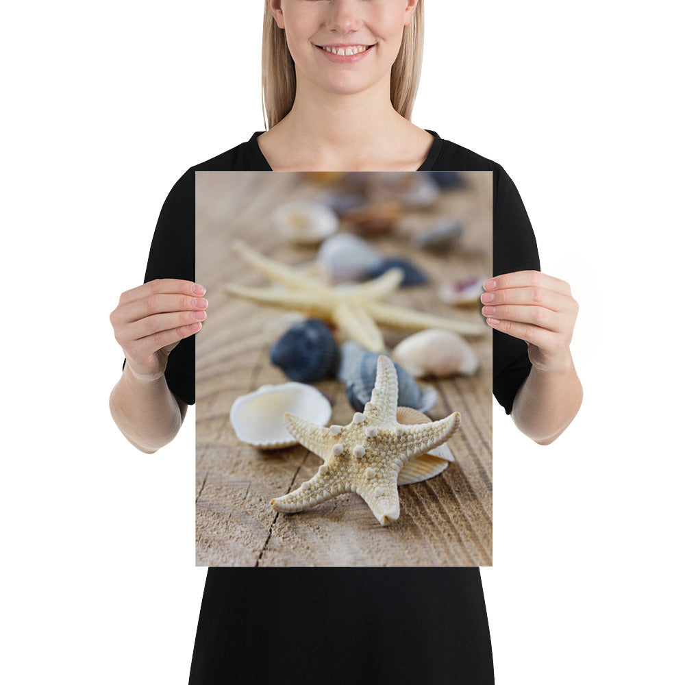 Starfish and Seashells on Wooden Board