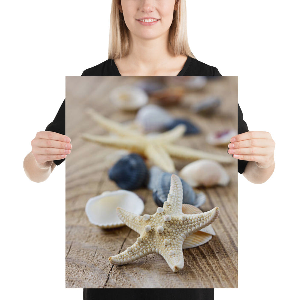 Starfish and Seashells on Wooden Board