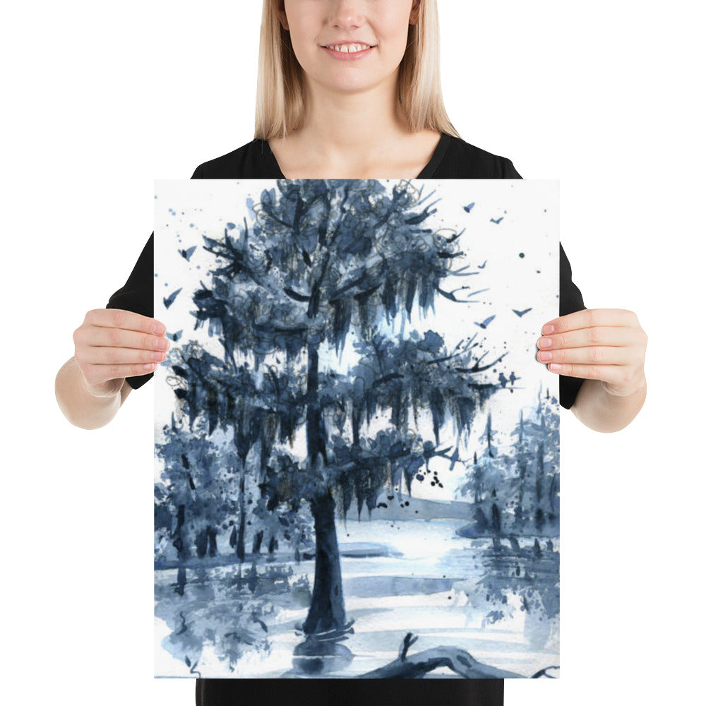 Louisiana Swamp Cypress