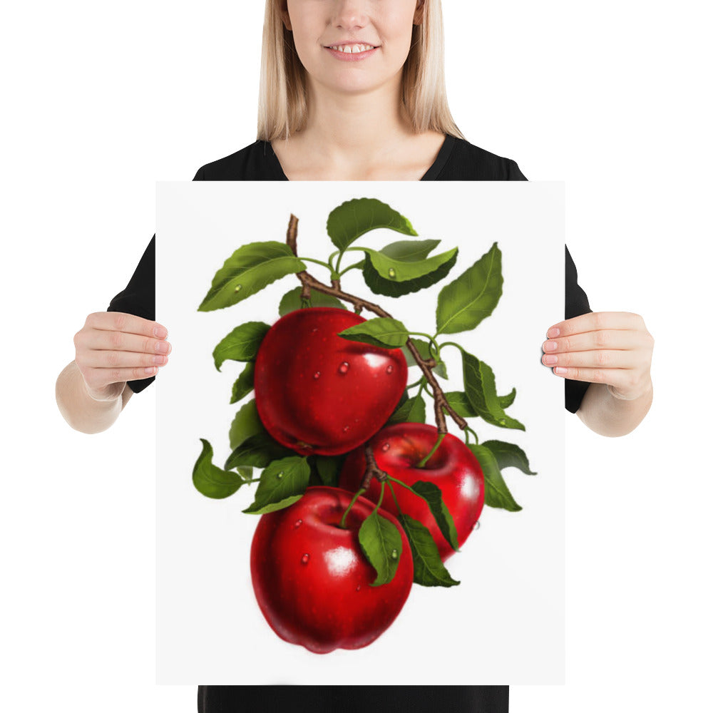 Apples On A Branch