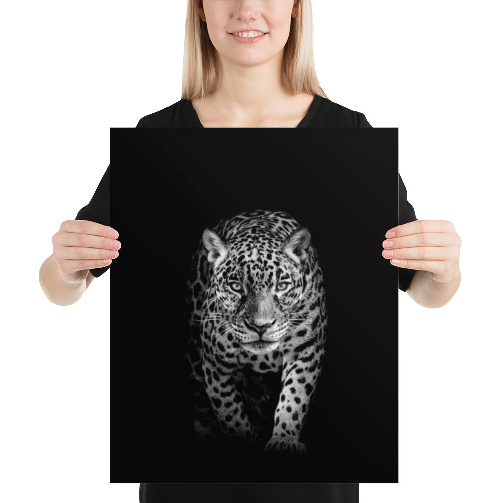 Black and White Leopard