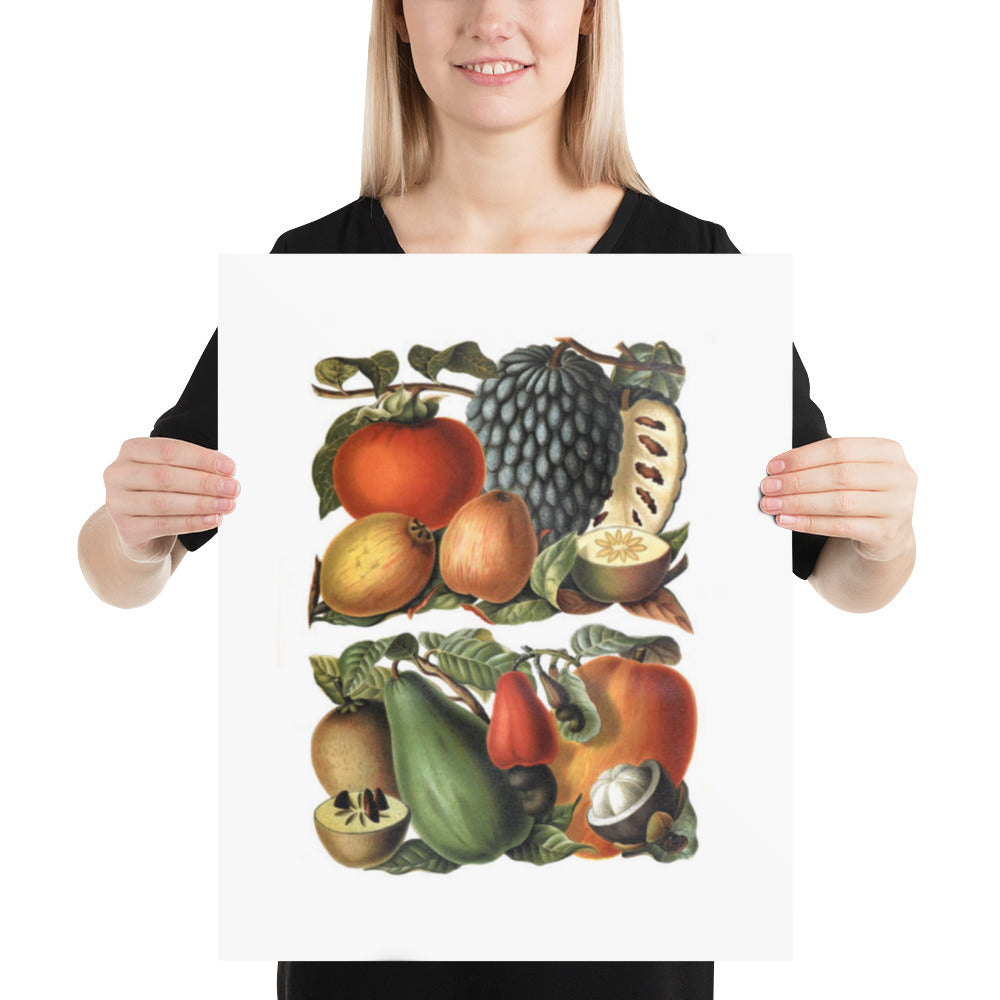 Tropical Fruit Collection Illustration