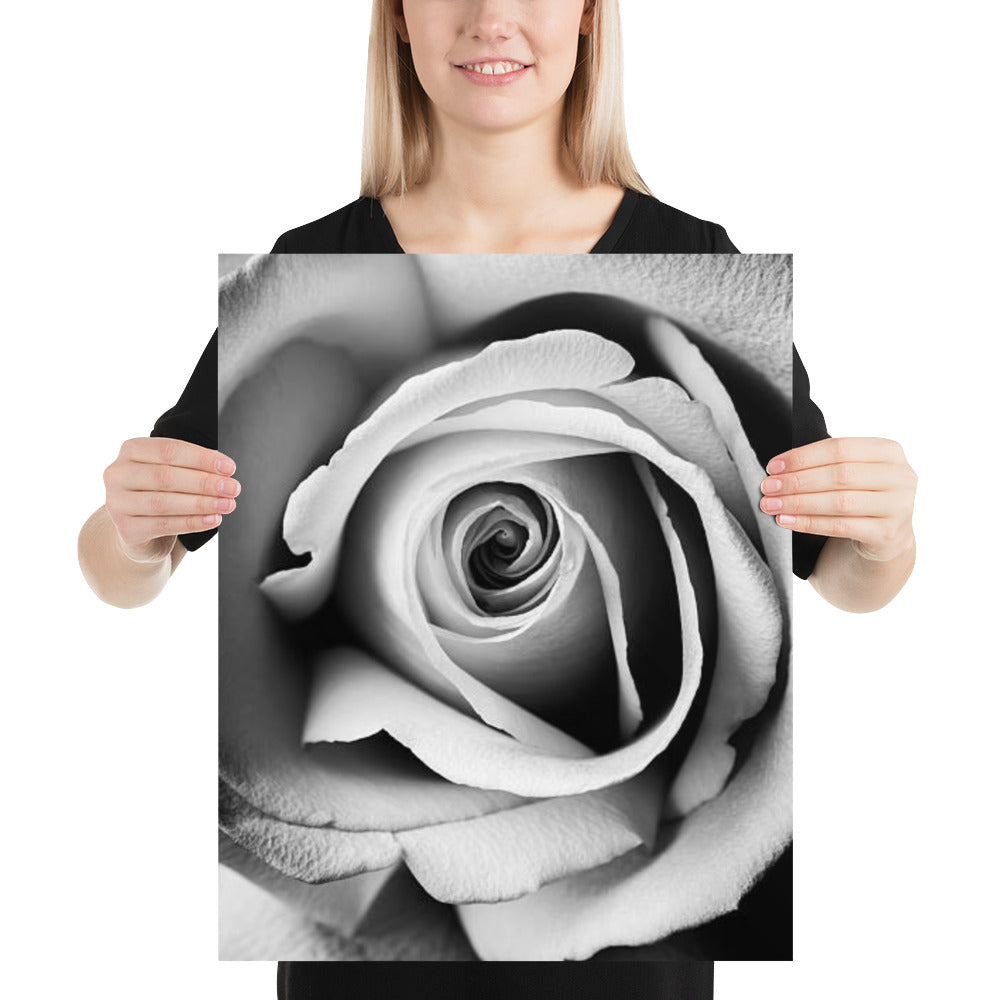 Black and White Rose Macro Photo Print