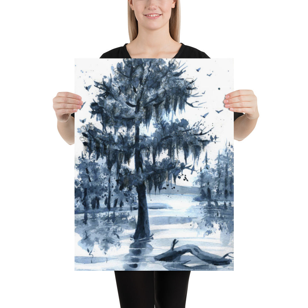 Louisiana Swamp Cypress