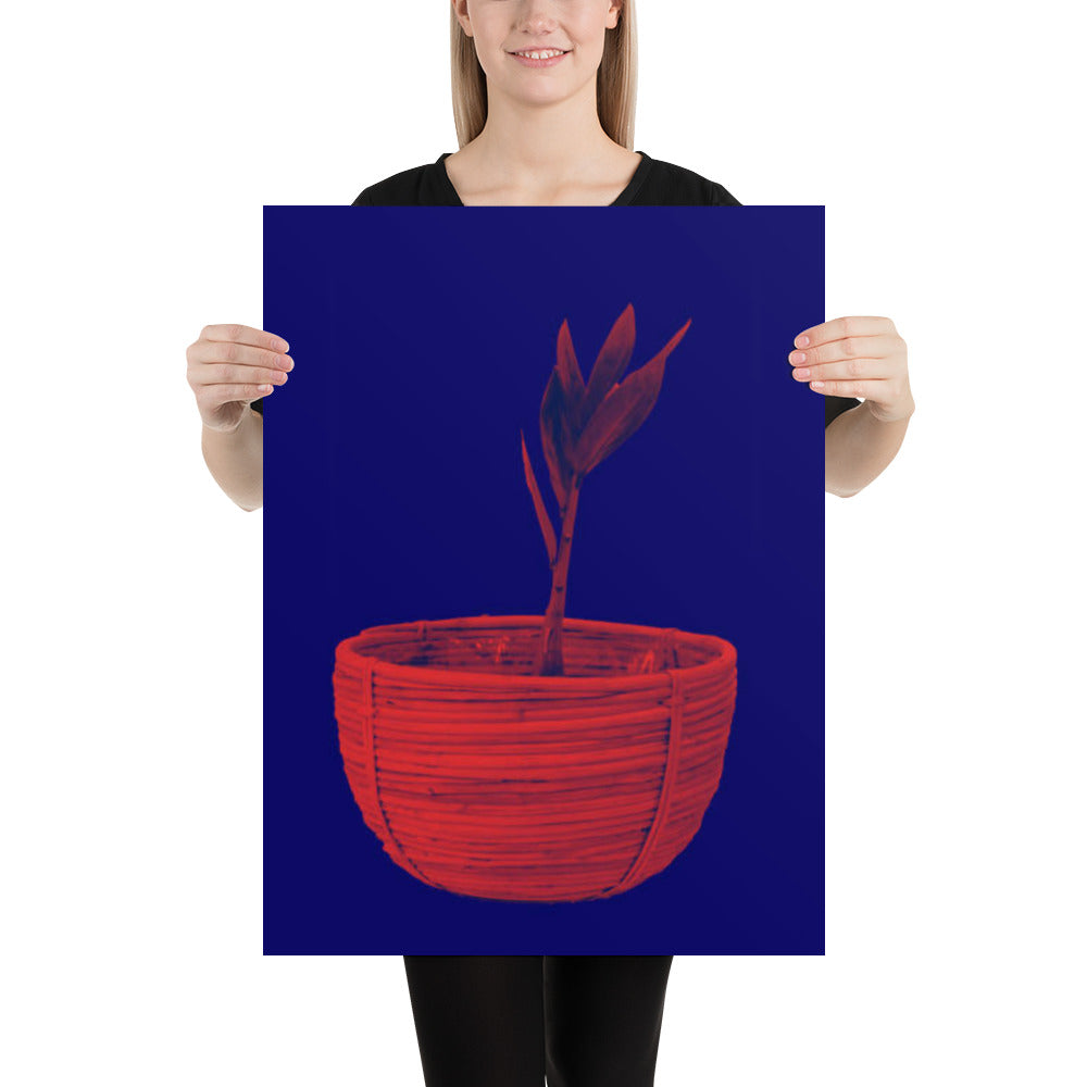 Red Plant Blue Background