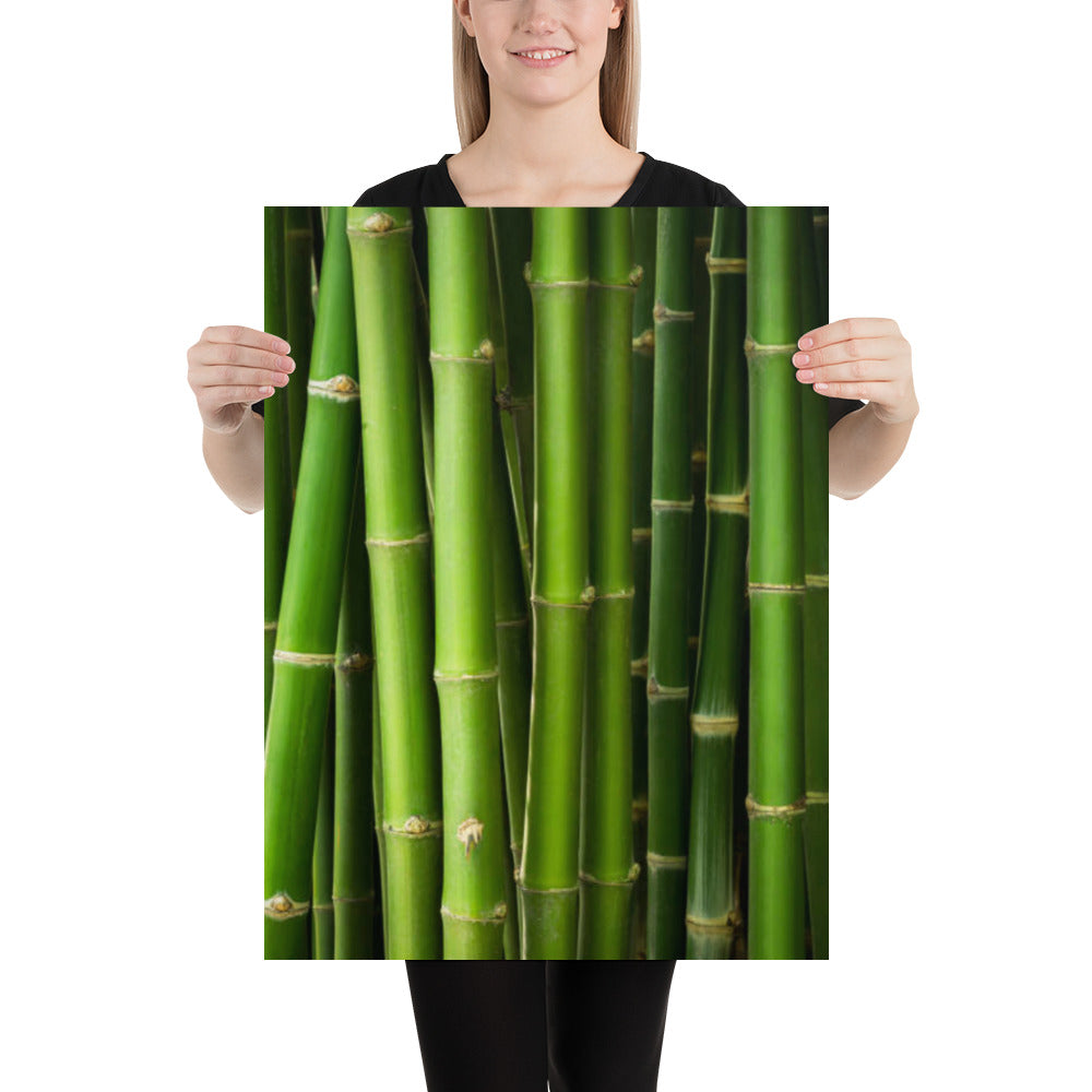 Bamboo Trees