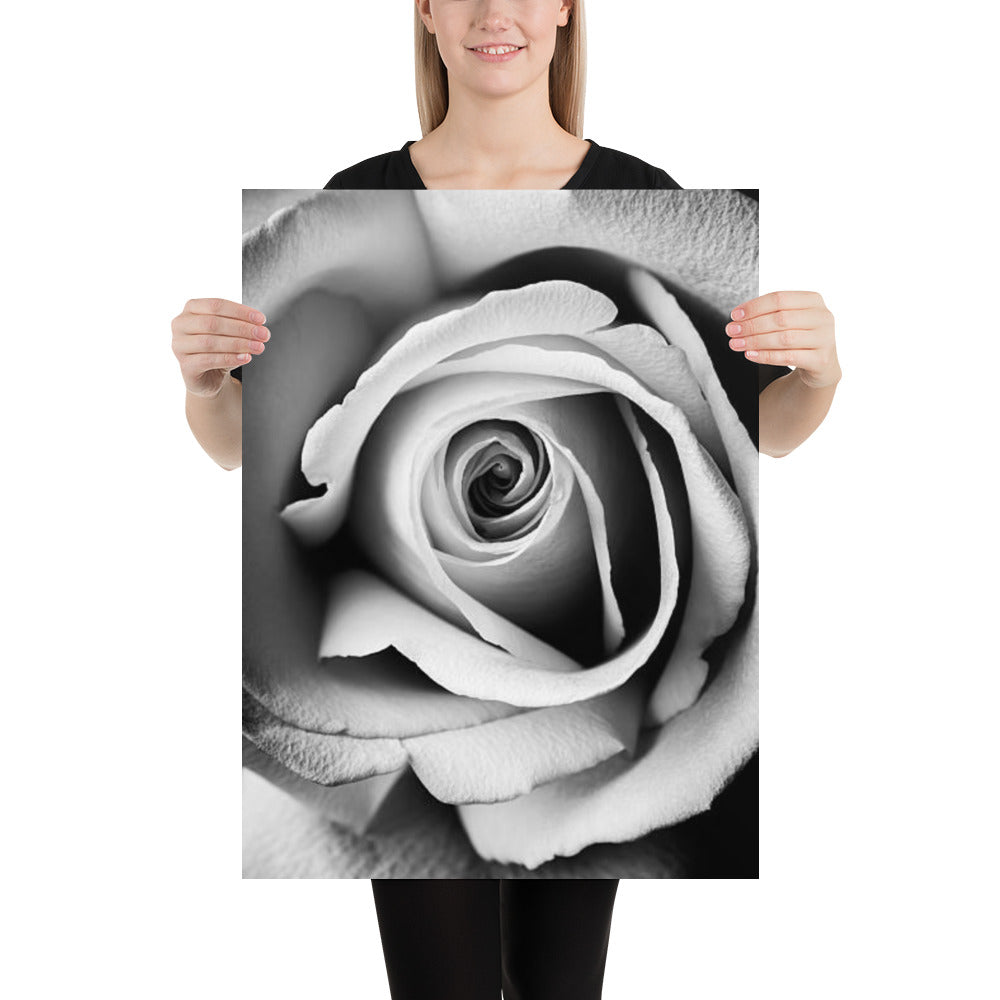 Black and White Rose Macro Photo Print
