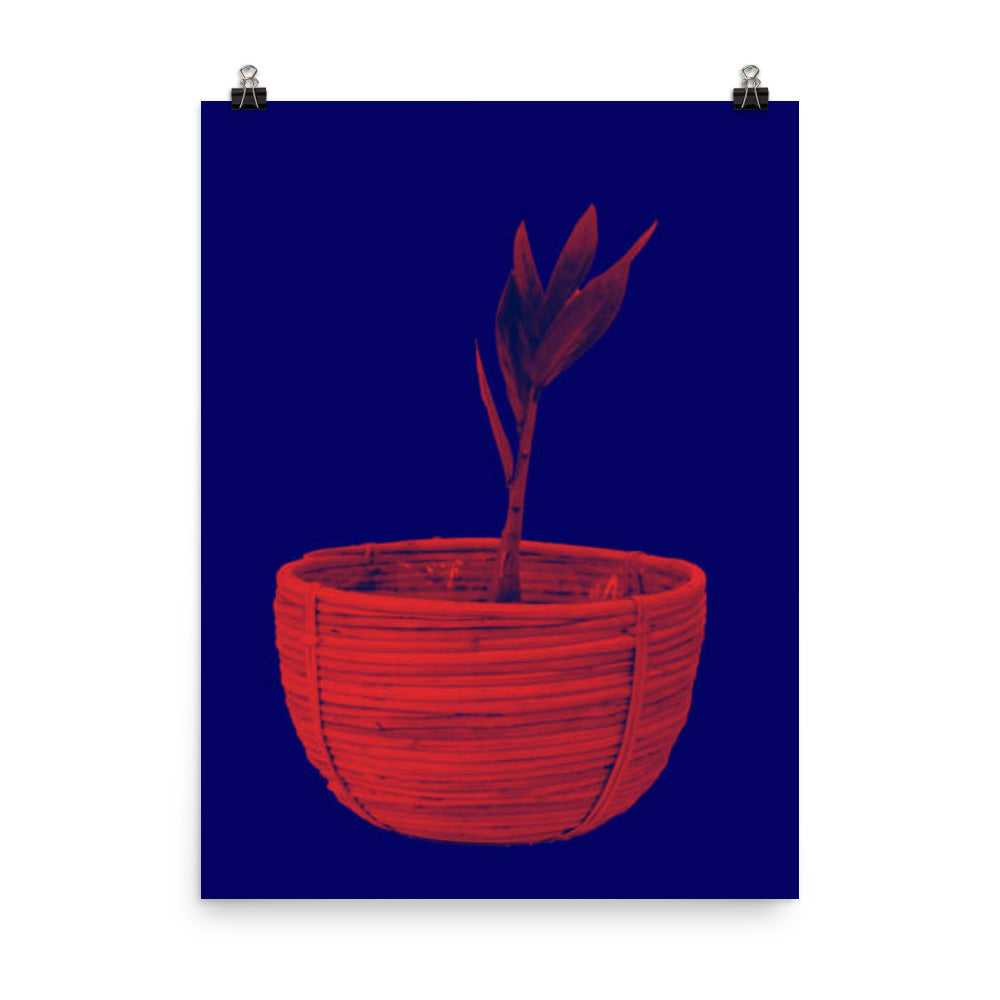 Red Plant Blue Background