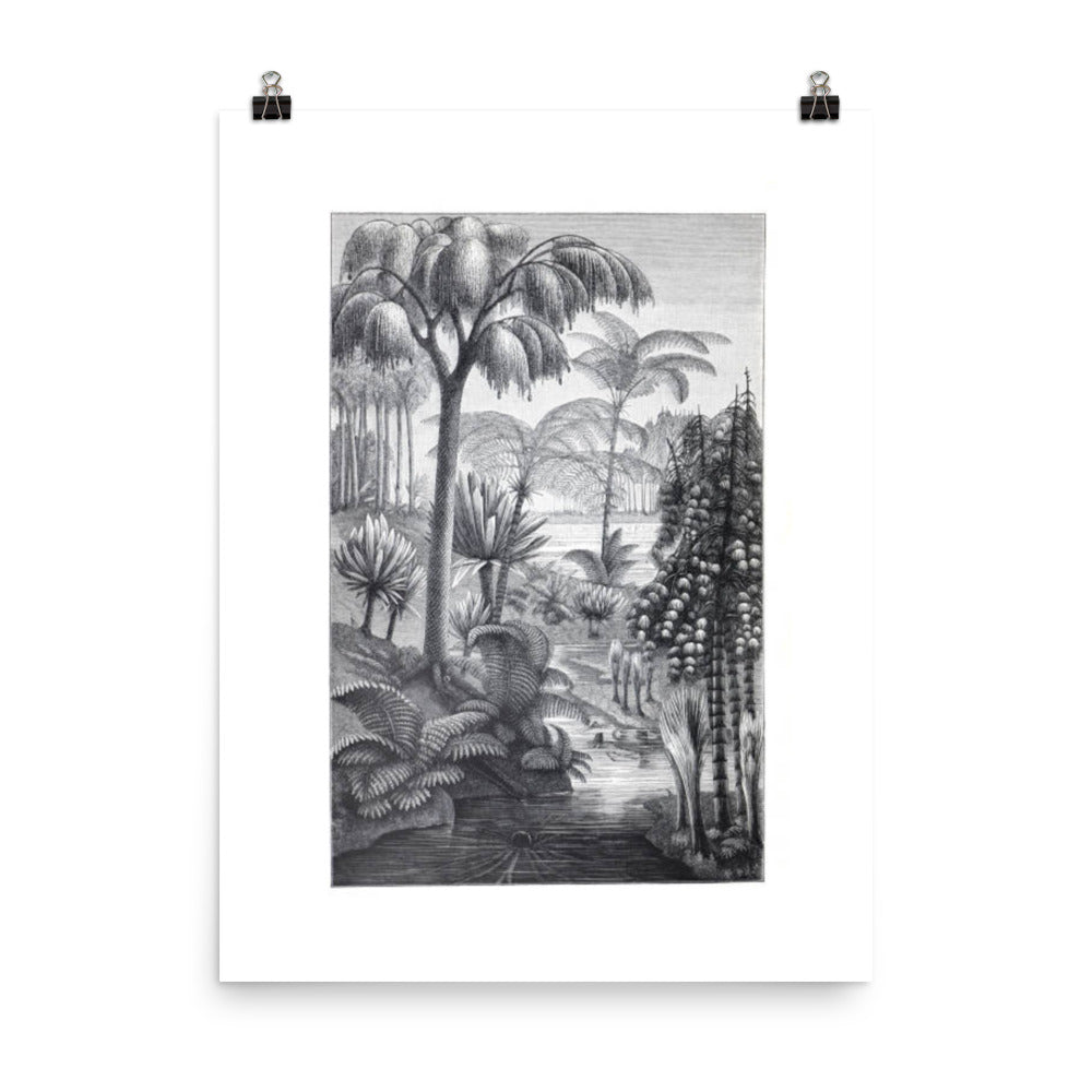 Vintage Tropical Nature Reserve Drawing