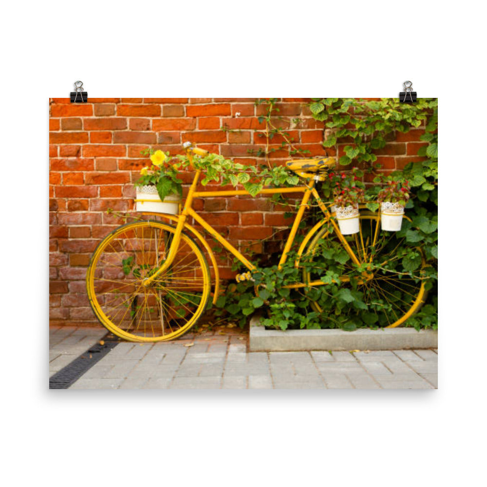 Yellow Bike Garden